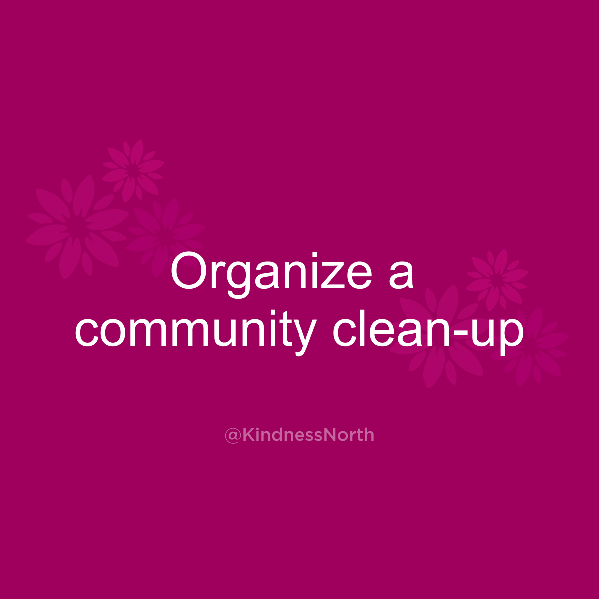 Organize a  community clean-up